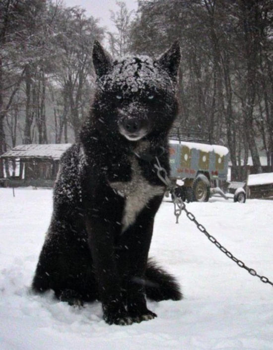 Cute Or Scary (28 pics)