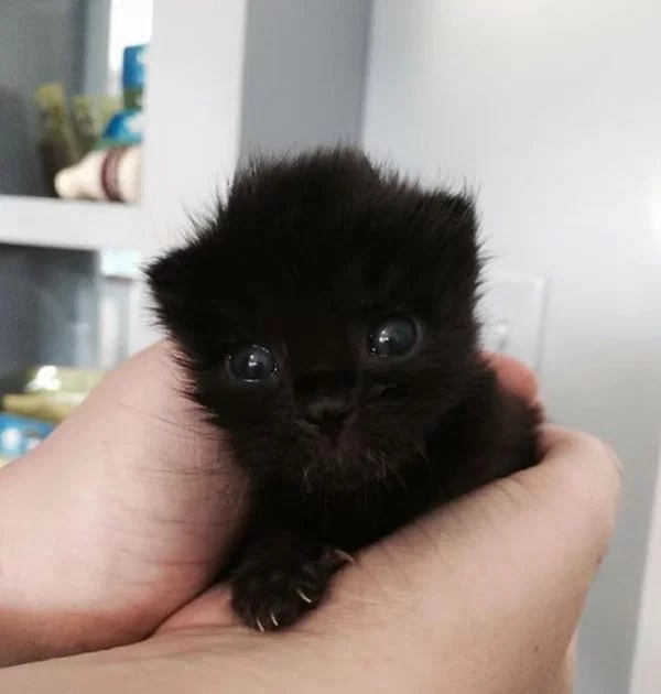 Cute Or Scary (28 pics)