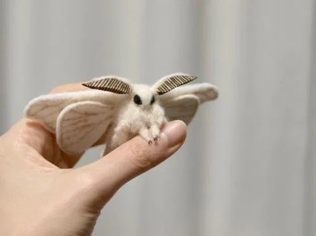 Cute Or Scary (28 pics)