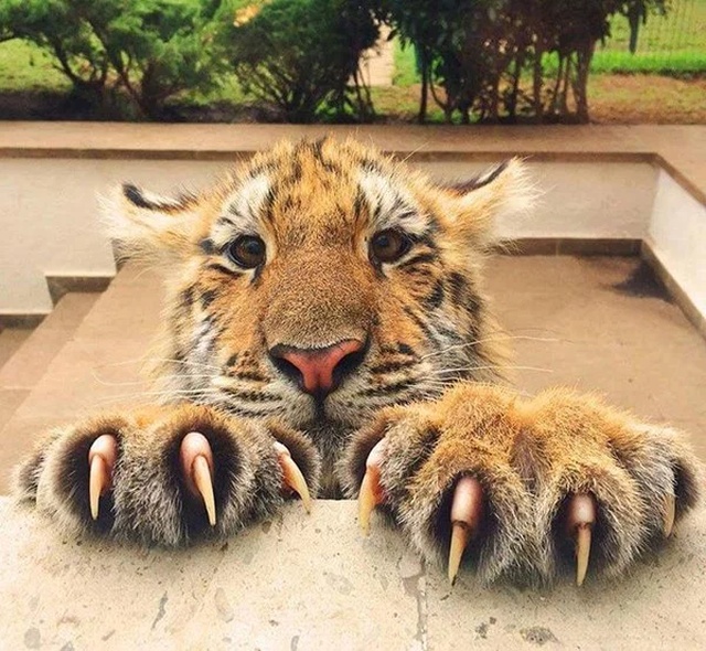 Cute Or Scary (28 pics)