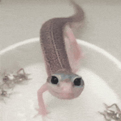 Cute Or Scary (28 pics)