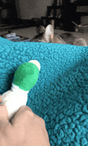 Cute Or Scary (28 pics)