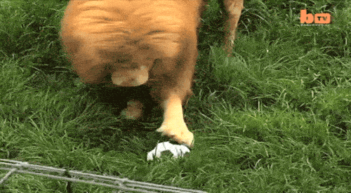 Cute Or Scary (28 pics)