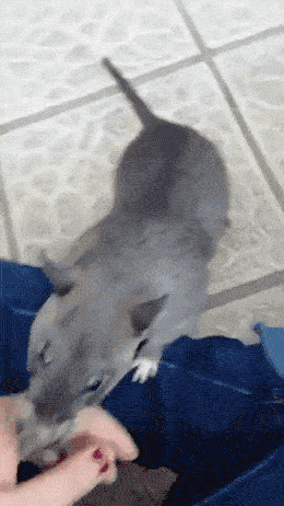 Cute Or Scary (28 pics)