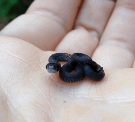 Cute Or Scary (28 pics)