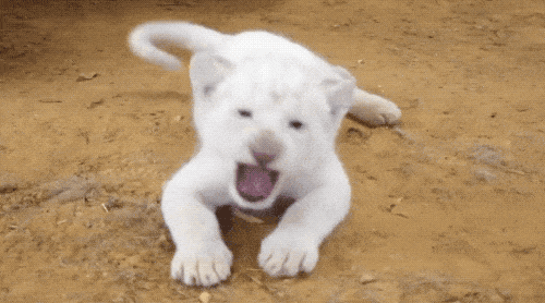 Cute Or Scary (28 pics)