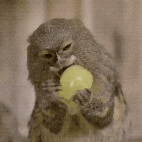 Cute Or Scary (28 pics)