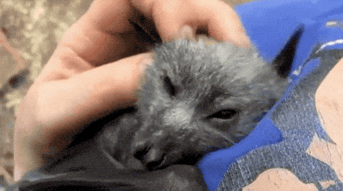 Cute Or Scary (28 pics)