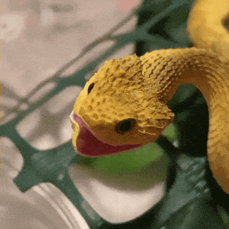 Cute Or Scary (28 pics)