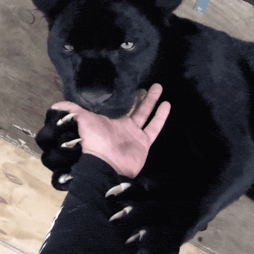 Cute Or Scary (28 pics)