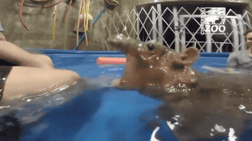 Cute Or Scary (28 pics)