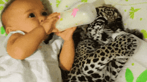 Cute Or Scary (28 pics)