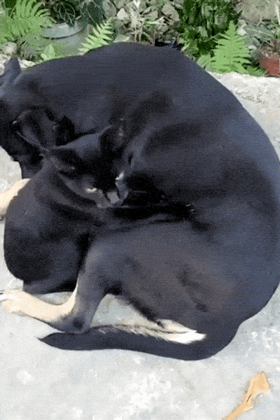 Cute Or Scary (28 pics)