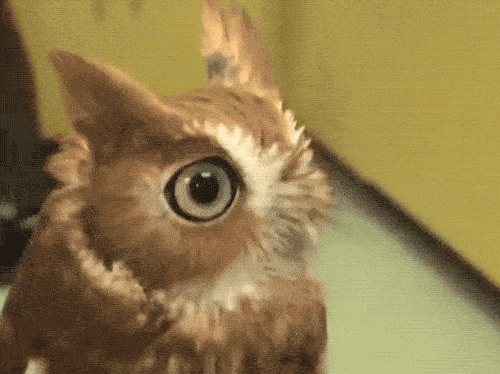 Cute Or Scary (28 pics)