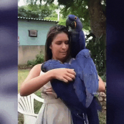 Acid Gifdump, February 27 (25 gifs)