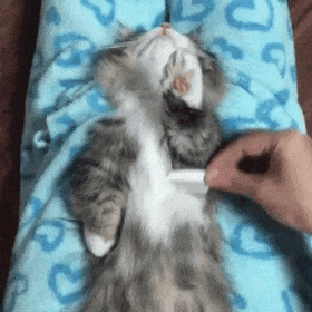 Acid Gifdump, February 27 (25 gifs)