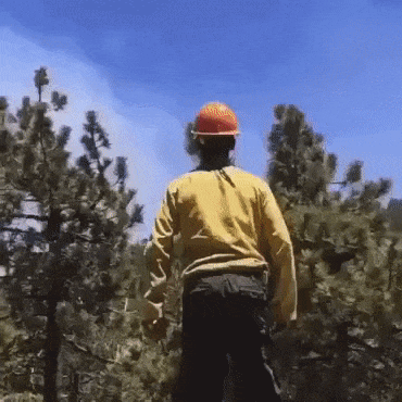 Acid Gifdump, February 27 (25 gifs)