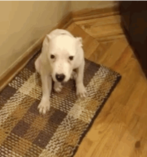 Acid Gifdump, February 27 (25 gifs)