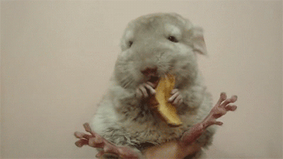 Acid Gifdump, February 27 (25 gifs)