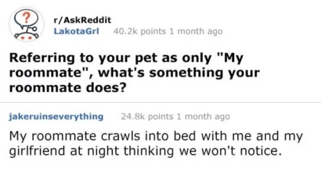 Funny Internet Responses (31 pics)