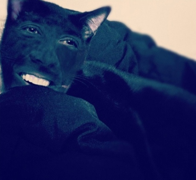 Cats With Nicolas Cage’s Face (21 pics)