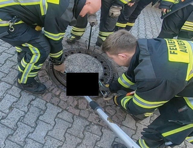 Team Of Fire Fighters Rescue Fat Rat Stuck In German Manhole (4 pics)