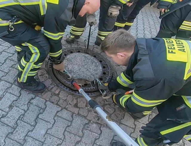 Team Of Fire Fighters Rescue Fat Rat Stuck In German Manhole (4 pics)
