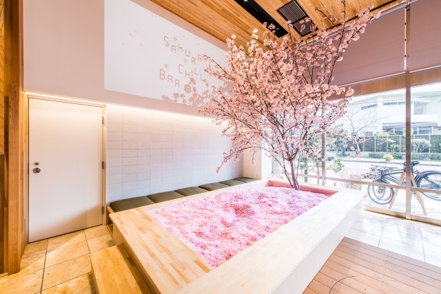 Cherry Blossom Bar In Tokyo (8 pics)