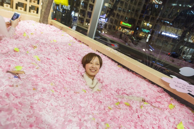 Cherry Blossom Bar In Tokyo (8 pics)