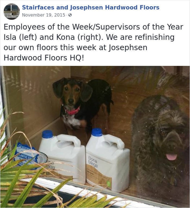 This Company Has Very Unusual Employees Of The Week (31 pics)