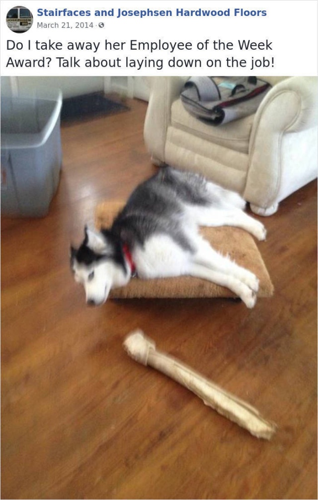 This Company Has Very Unusual Employees Of The Week (31 pics)
