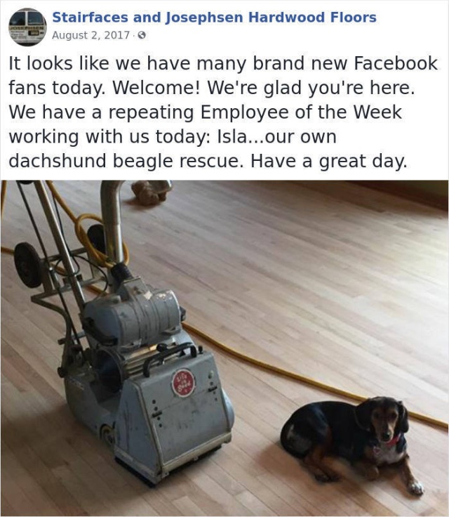 This Company Has Very Unusual Employees Of The Week (31 pics)
