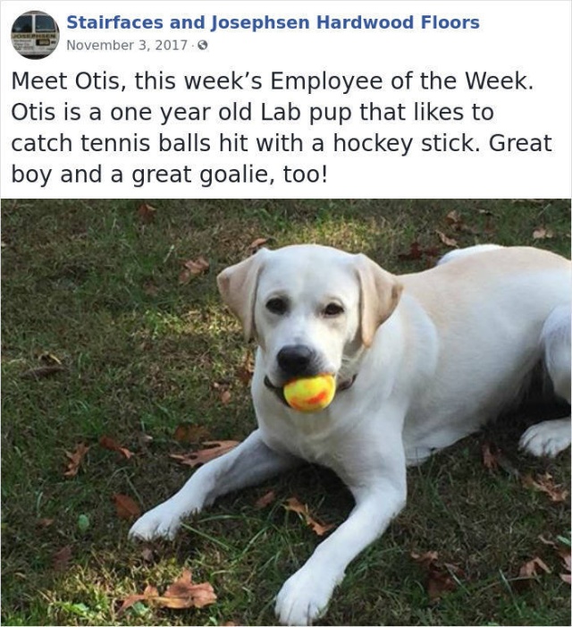 This Company Has Very Unusual Employees Of The Week (31 pics)