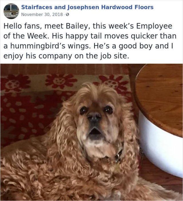 This Company Has Very Unusual Employees Of The Week (31 pics)