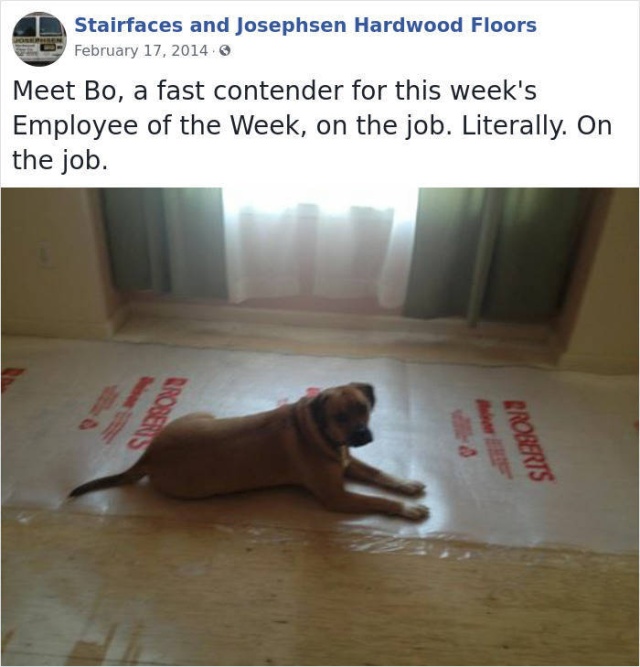 This Company Has Very Unusual Employees Of The Week (31 pics)