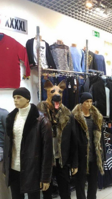 It's So Hard To Explain (36 pics)