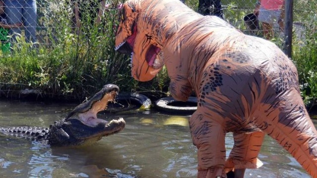 Acid Picdump (92 pics)