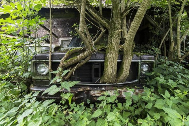 Acid Picdump (92 pics)