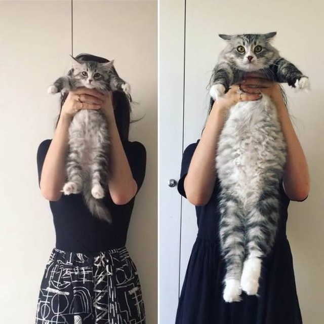 Acid Picdump (92 pics)