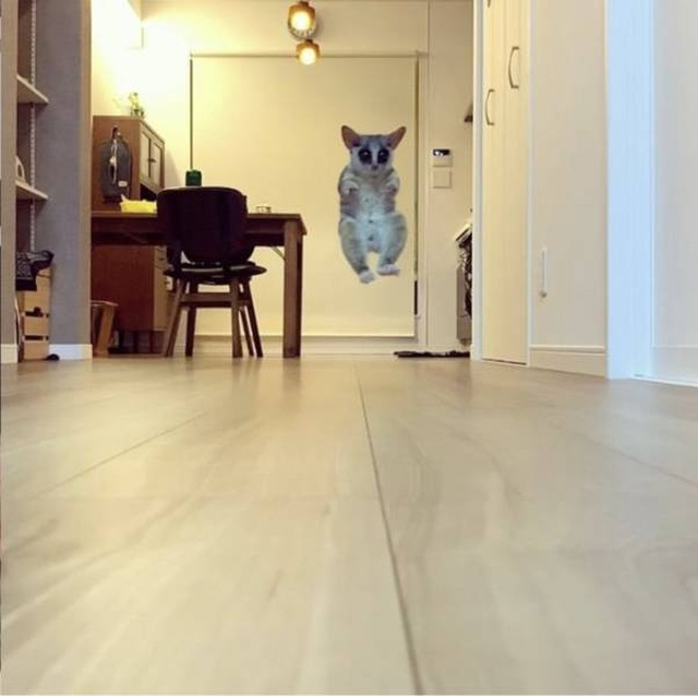 Acid Picdump (92 pics)