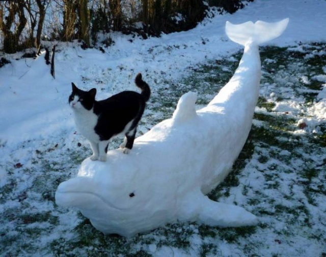 Acid Picdump (92 pics)