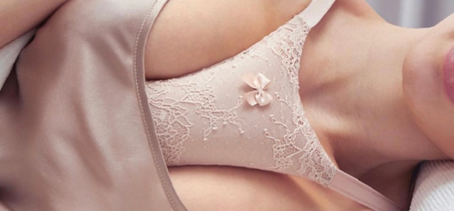 Anti Wrinkle Bra Pillow (4 pics)