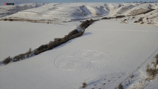 Acid Gifdump, March 01 (25 gifs)