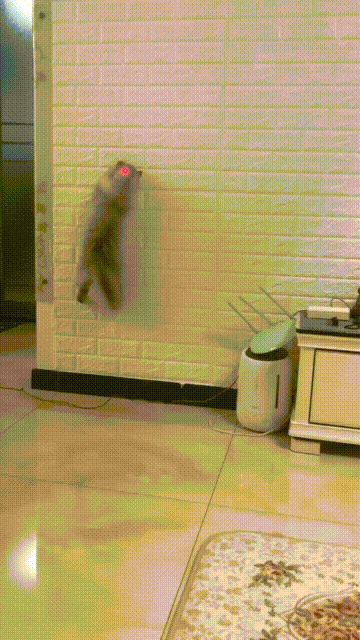 Acid Gifdump, March 01 (25 gifs)