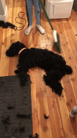 Acid Gifdump, March 01 (25 gifs)