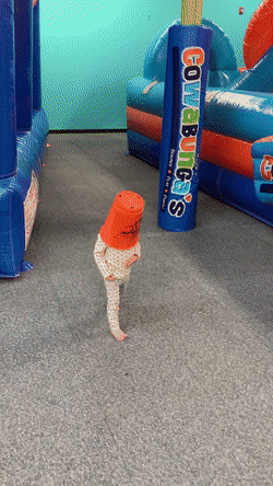 Acid Gifdump, March 01 (25 gifs)