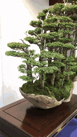 Acid Gifdump, March 01 (25 gifs)