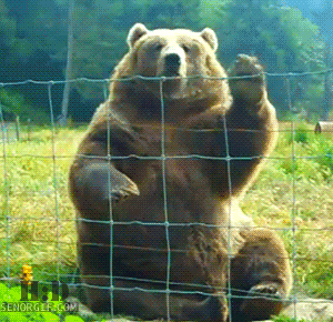 Acid Gifdump, March 01 (25 gifs)