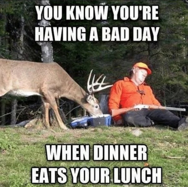 Outdoors Memes (24 pics)