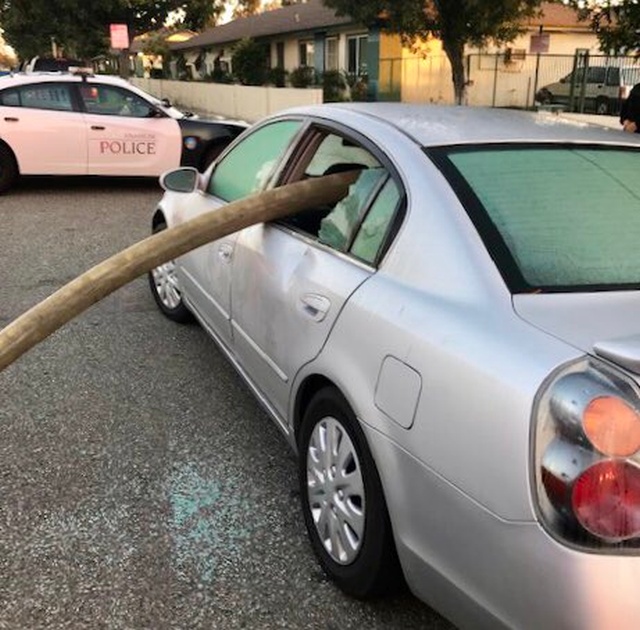 Anaheim Fire Department At Work (4 pics)